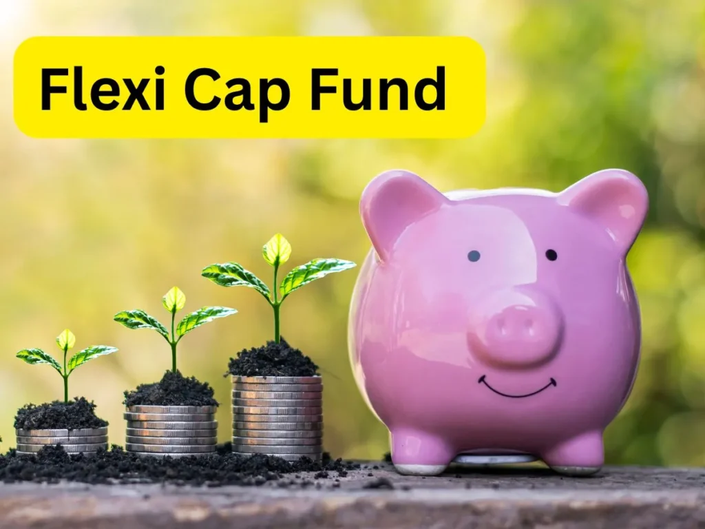 Flexi Cap Funds फिर बना इक्विटी का किंग, अक्टूबर में निवेश बढ़कर ₹8,929 करोड़, AUM रिकॉर्ड ₹5.34 लाख करोड़